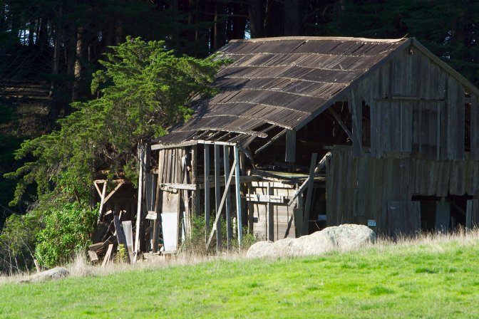 Call Barn