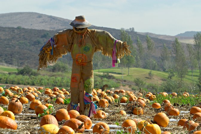 Scarecrow