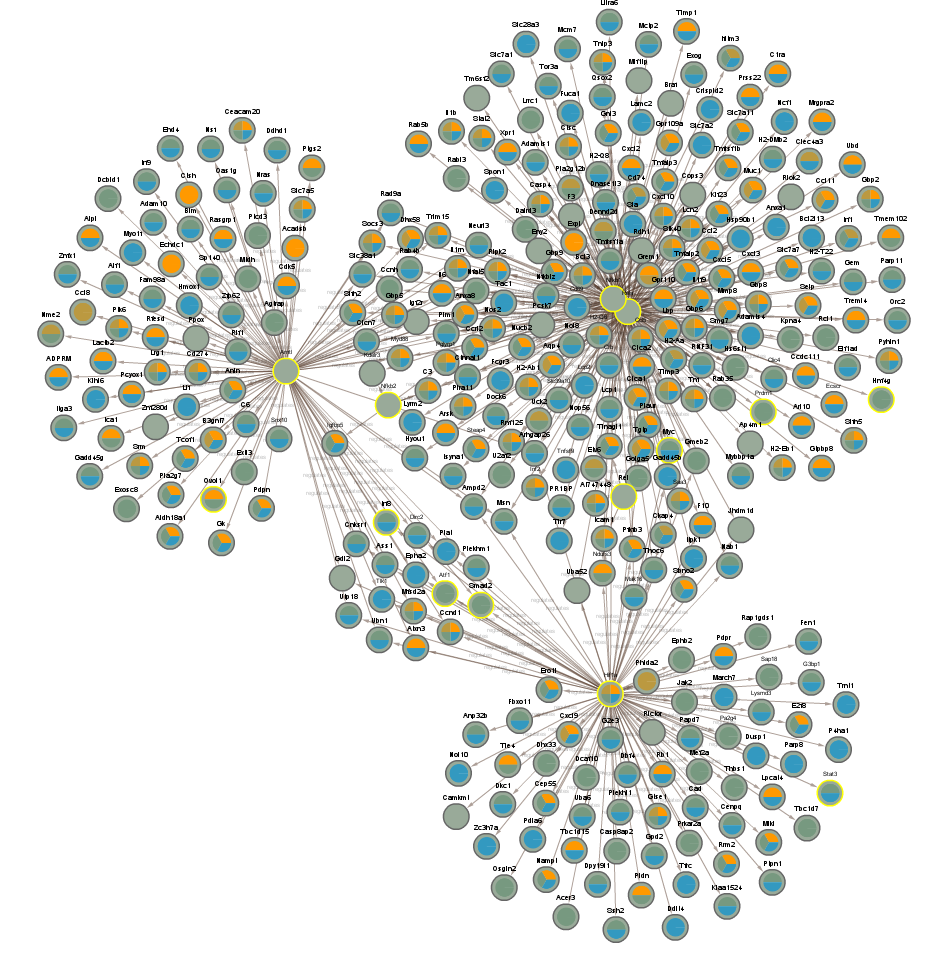 networks/CLOCK-network-full.png