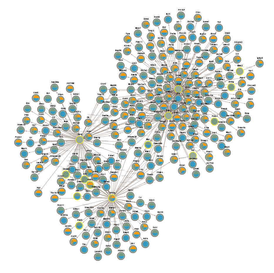 networks/CLOCK-sig1.png