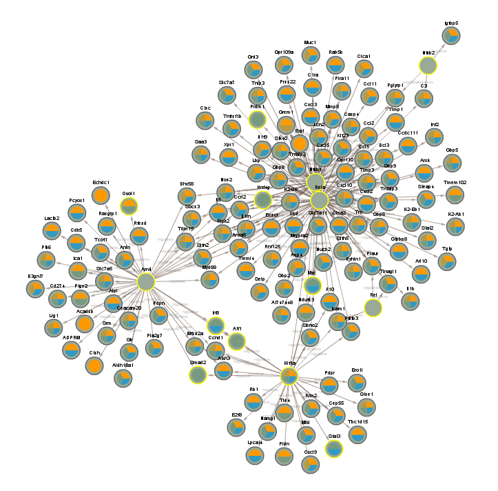 networks/CLOCK-sig4.png