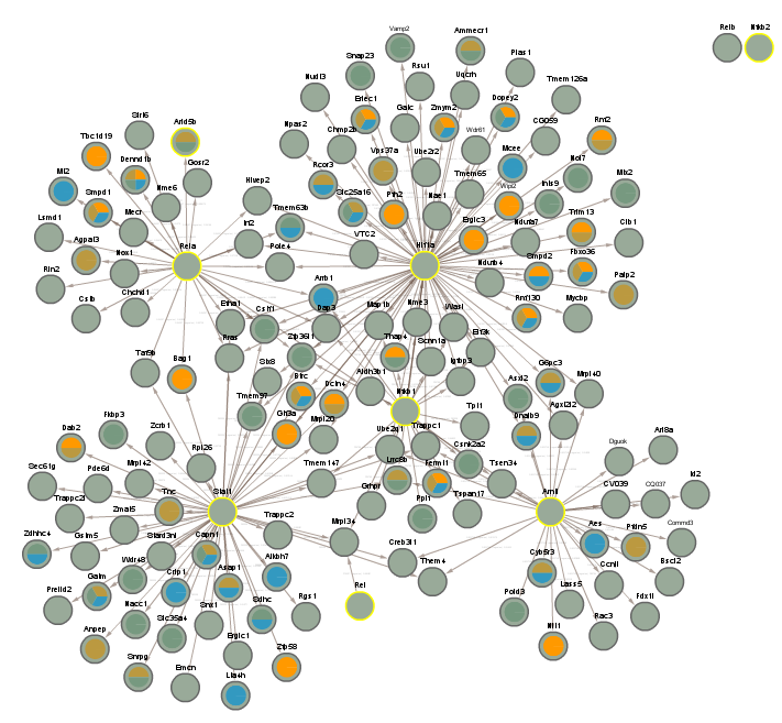 networks/CLOCKCLUSTER2.png