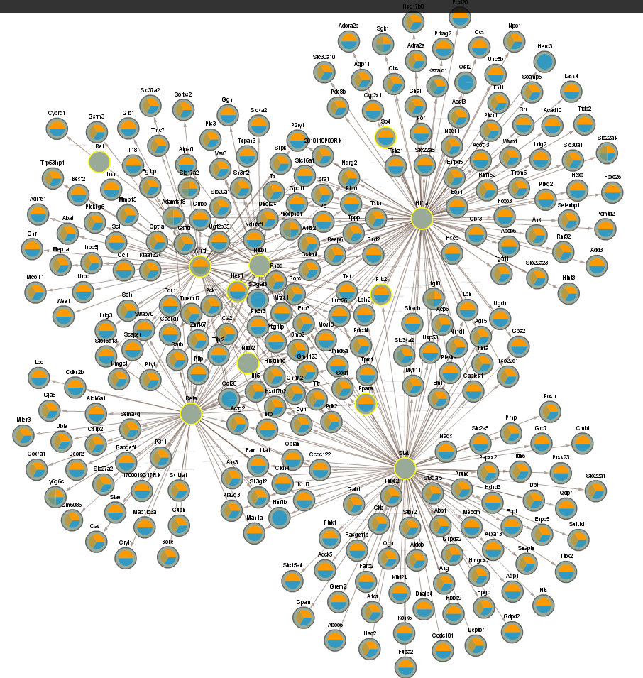 networks/CLOCKCLUSTER3SIG1.png