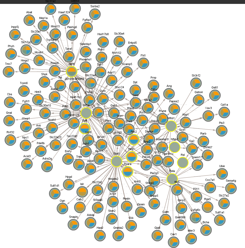 networks/CLOCKCLUSTER3SIG3.png