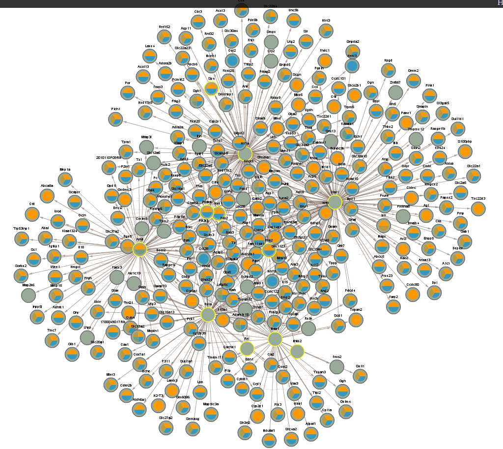 networks/CLOCKCLUSTER3TF.png