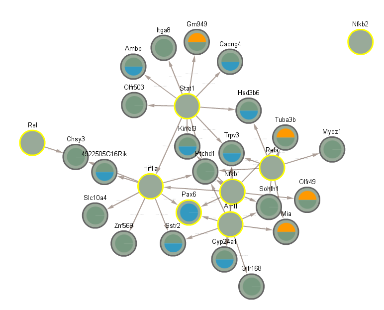 networks/CLOCKCLUSTER4SIG2.png