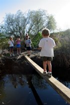 Timothy walks the plank