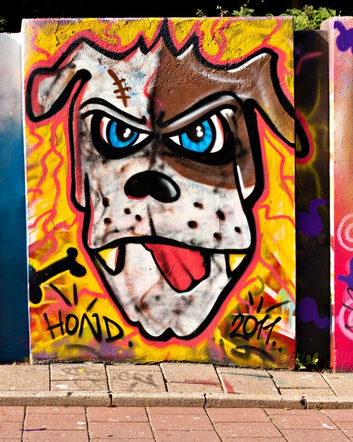 Hond Dogface