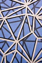 Space Network