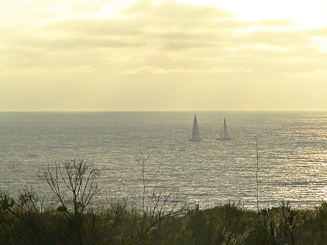 Two sailboats