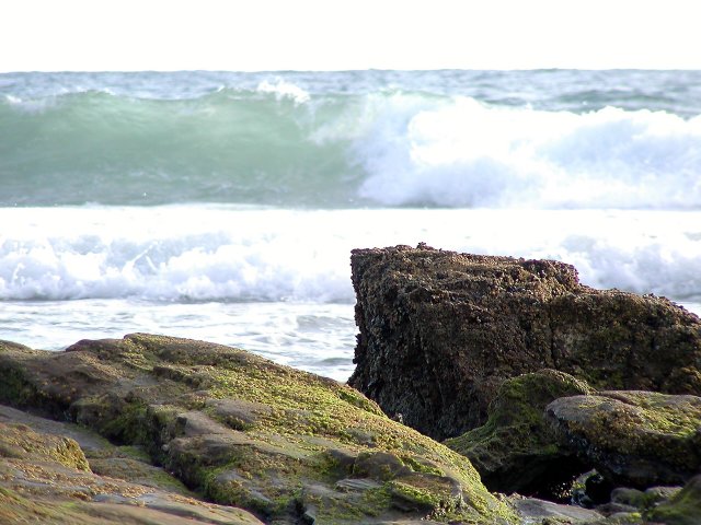 Rocks and Surf