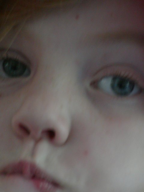 Blurry close-up of Charlotte