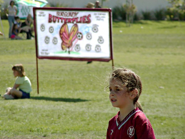 Butterfly banner