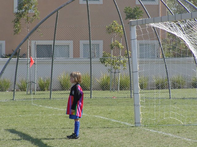 Dolphin Goalie