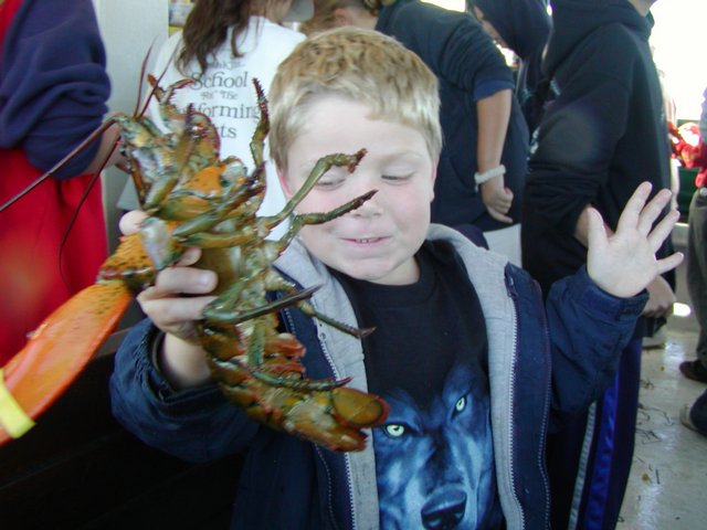 A boy and his lobster