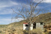White shack, dead tree, Aguereberry Camp