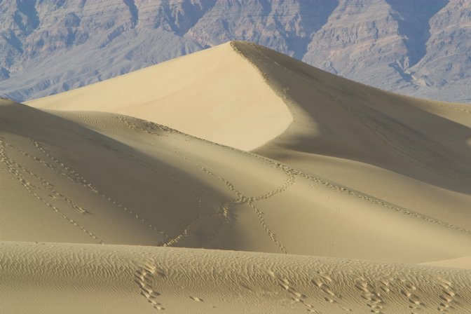 Mesquite Dunes, I