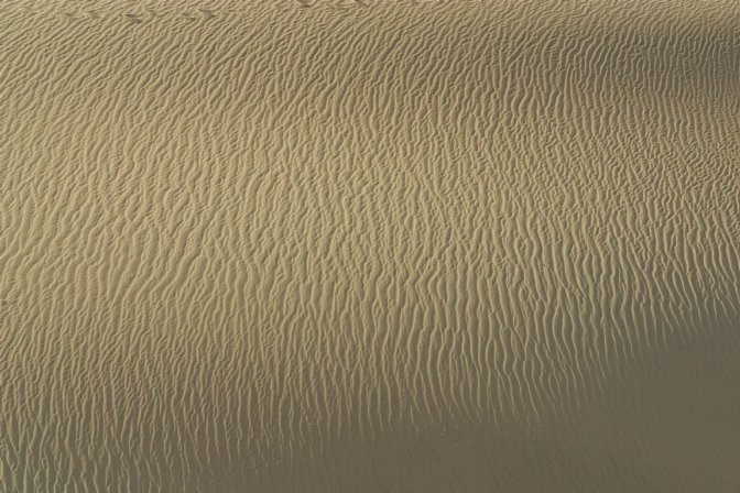 Mesquite Dunes, III