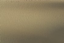 Mesquite Dunes, III