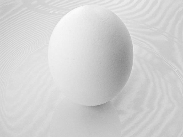 Standing Egg on White Plate