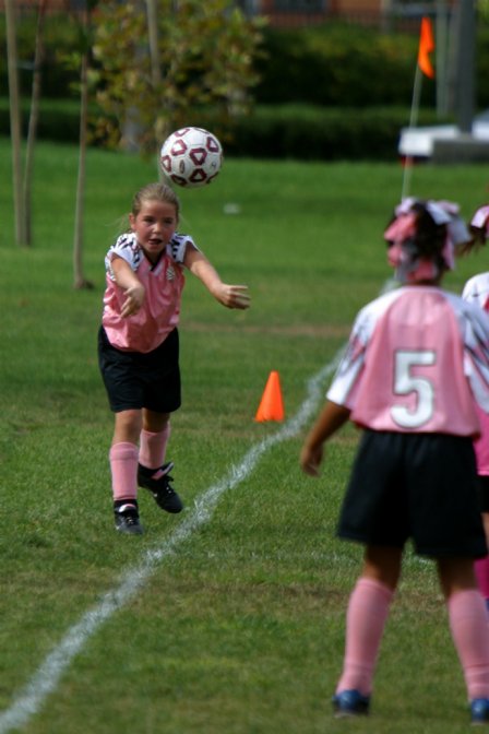 Panther throw-in