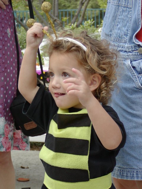 Bee