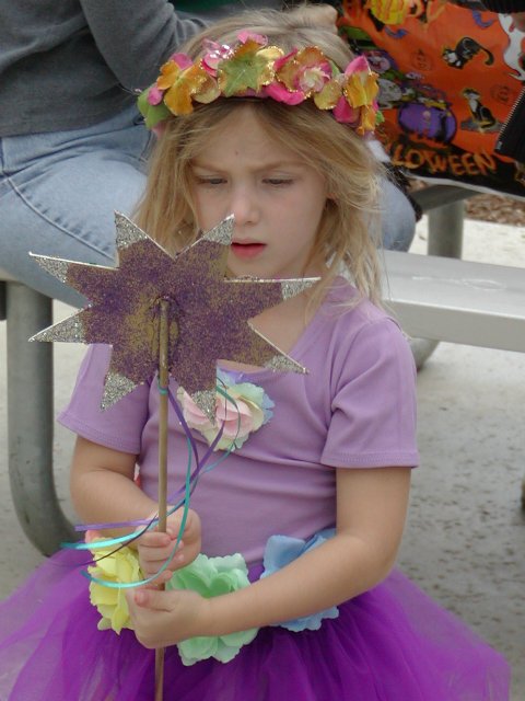 Purple Fairy