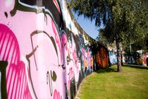 Pink Wall