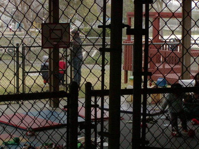 Fences