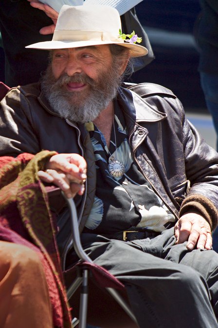 Bearded Spectator