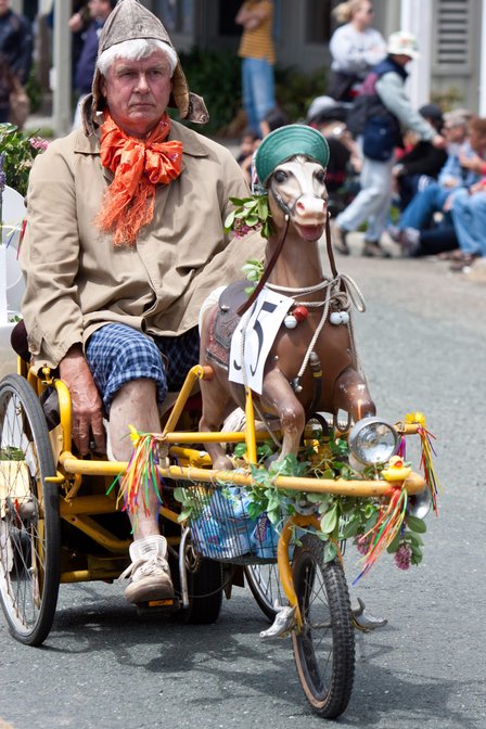 Carousel Trike