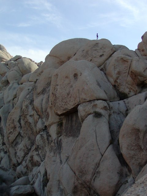 Rocktop Figure
