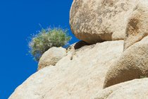 Rockscape, I