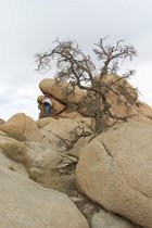 At the top of a boulder, Indian Cove, Joshua Tree National Park