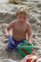 Timothy Digging
