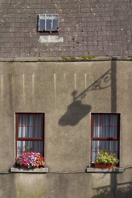 Window Boxes