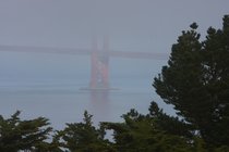 Golden Gate, I