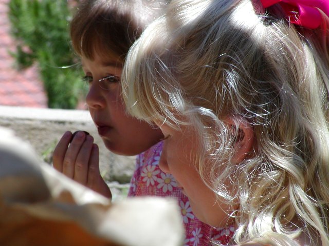 Sara and Dashi