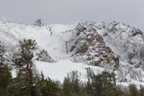 Chair 14 from 13