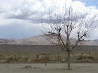 Coso Junction, V