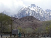 Lone Pine