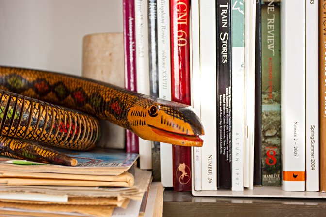 Bookshelf Snake