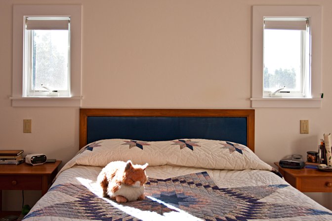 Sunny Spot