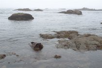 Glass Beach, II