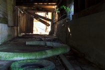 Back hall