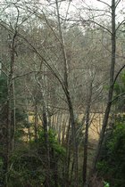 River View, II