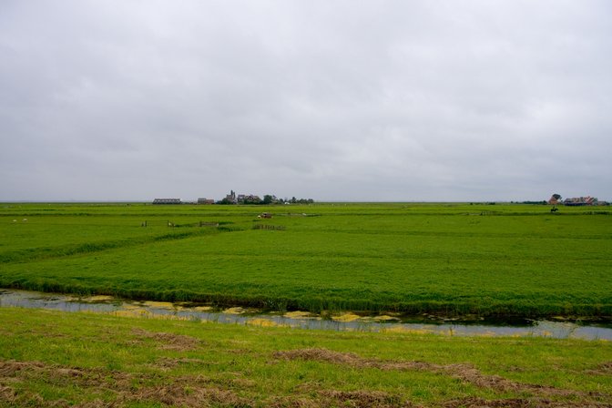 Fields Near Marken