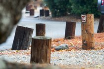 Campsite Posts