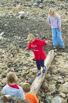 Log Bridge, II