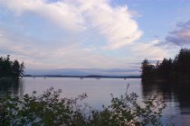 Buck Bay